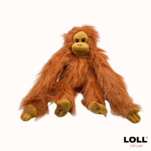 Orang Utan
